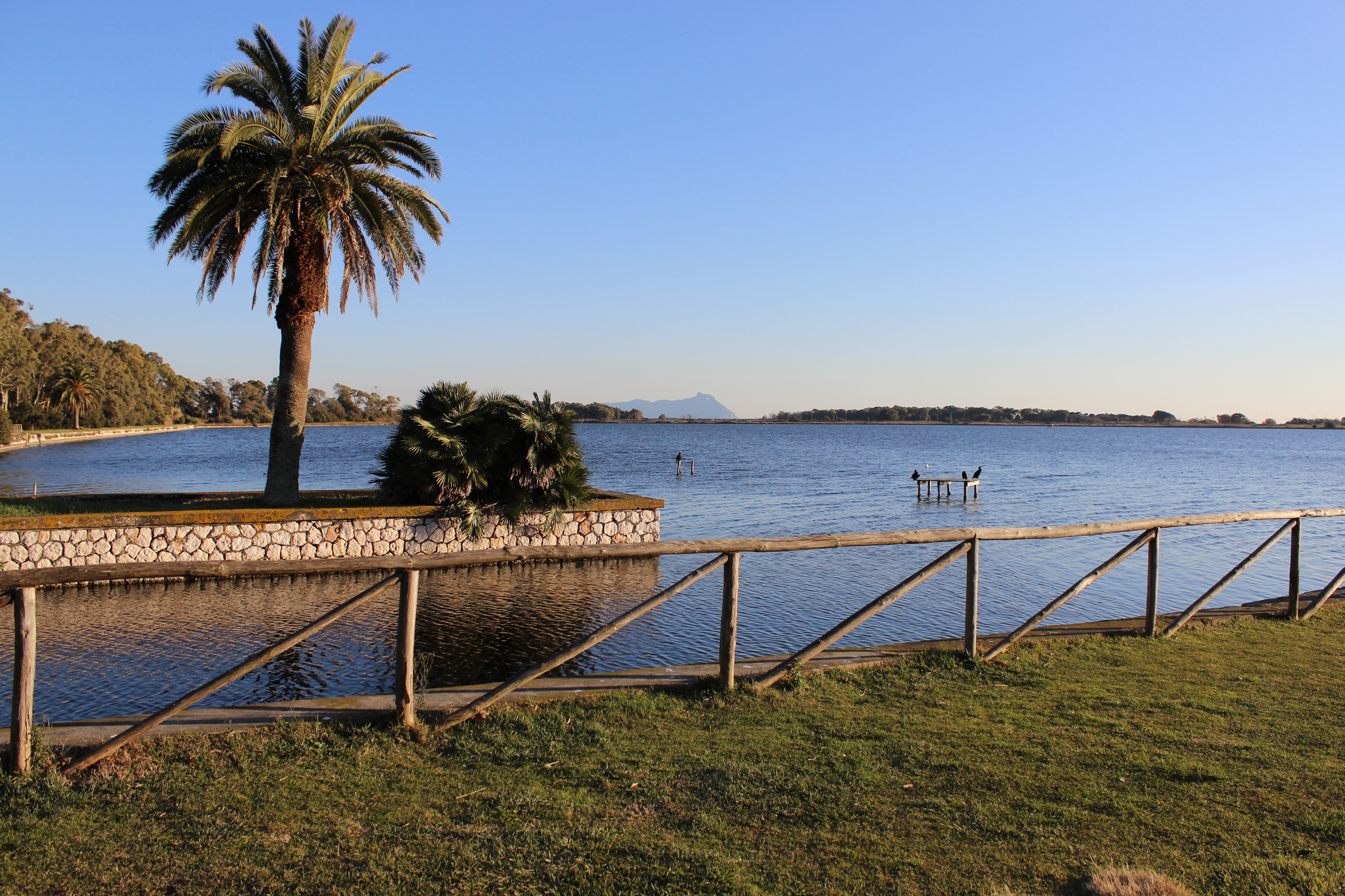 Fogliano: a lake on the sea