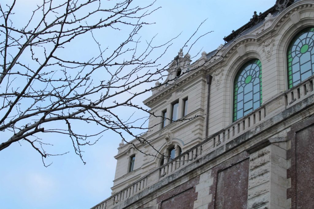 View of Riding Hall with tree