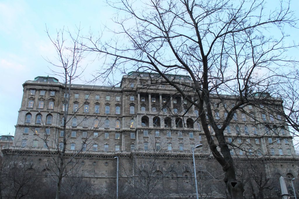 Buda hill castle with tree