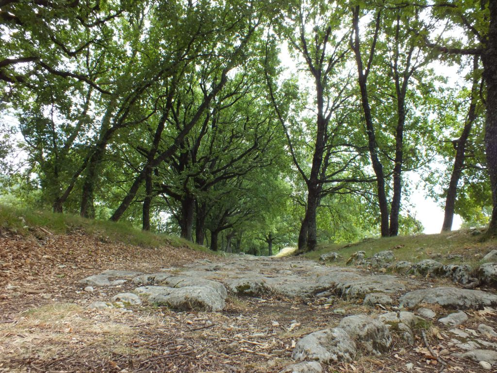 The Via Flaminia in Carsulae