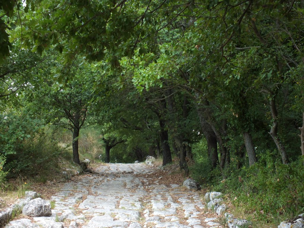 The Via Flaminia in Carsulae