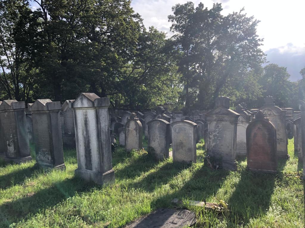 This is a view of the Jewish cemetery on which the European Heritage Volunteers worked