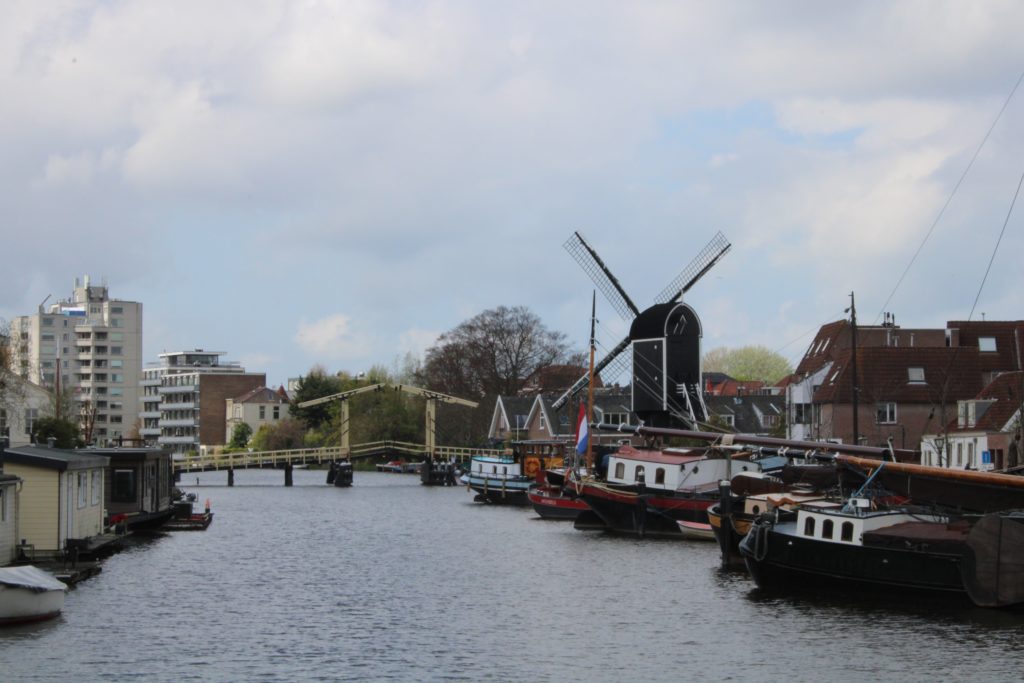 Windmill and harbour view