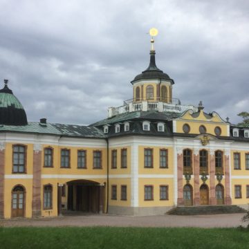 Of Tress and Their Keepers. Discovering the Complex Heritage of Belvedere Park￼