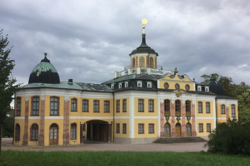 Of Tress and Their Keepers. Discovering the Complex Heritage of Belvedere Park￼