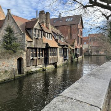 Houses next to a canal