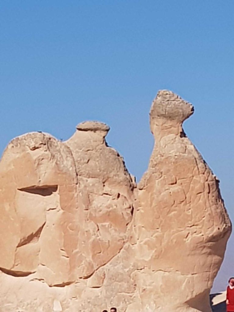 Rocks on the same of a camel